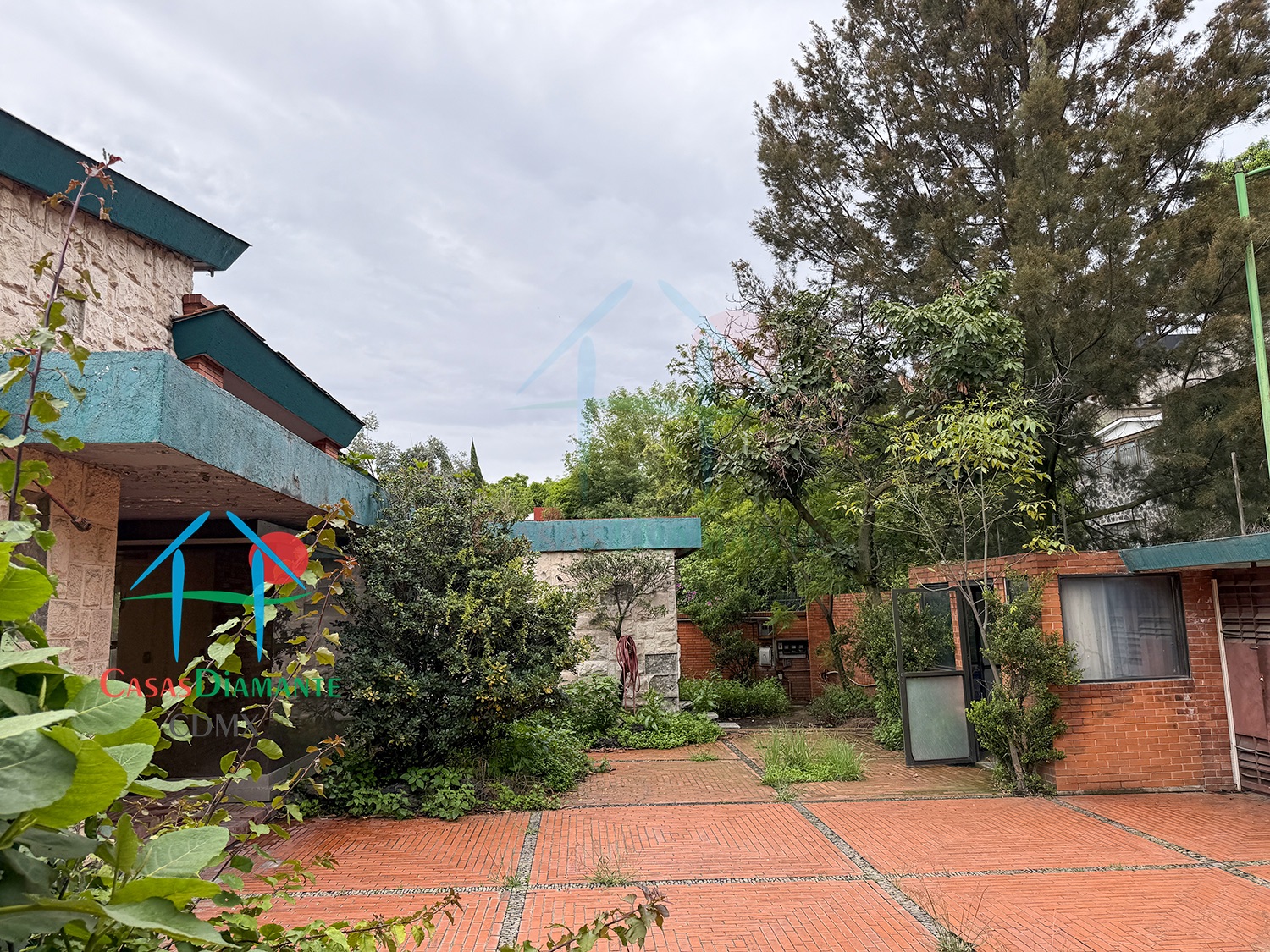 Bosques de las Lomas Terreno Jaguar BBC - Propiedad a demoler 12